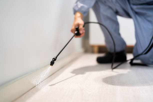 Licensed Termite Control service in Prospect, OH - Nex Pest Control