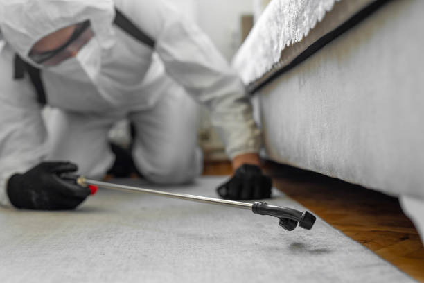 Professional Termite Control technician working in Prospect, OH