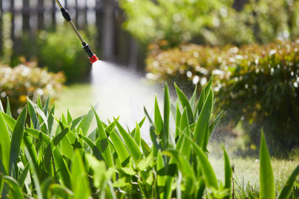 24/7 Emergency Termite Control experts in Prospect, OH