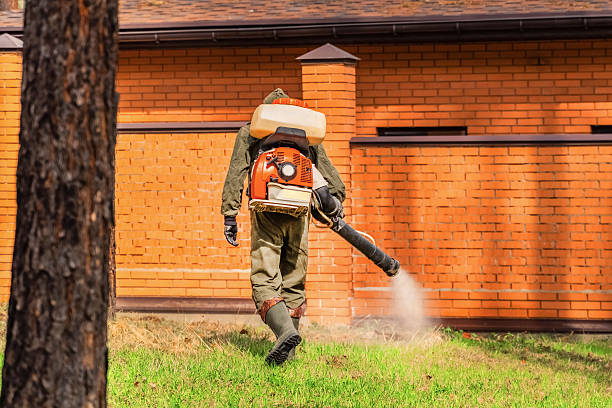 Top rated local Termite Control specialists in Prospect, OH
